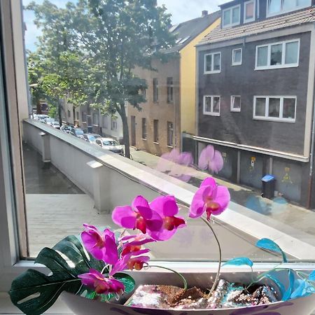 Elena Flat Orchidee Duisburg Zentrum المظهر الخارجي الصورة