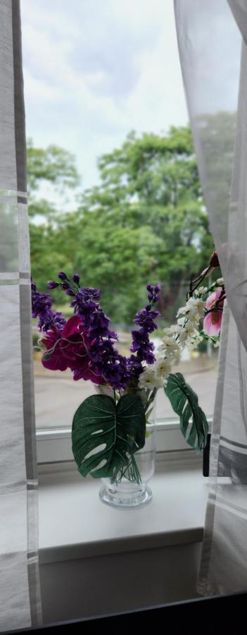 Elena Flat Orchidee Duisburg Zentrum المظهر الخارجي الصورة
