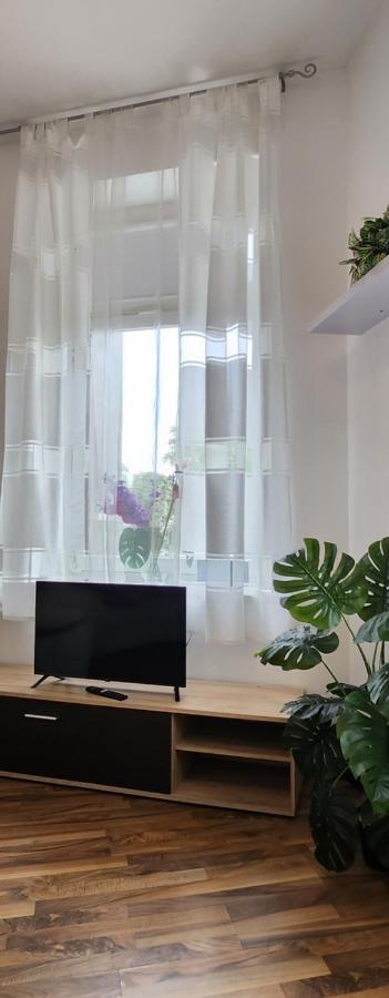 Elena Flat Orchidee Duisburg Zentrum المظهر الخارجي الصورة